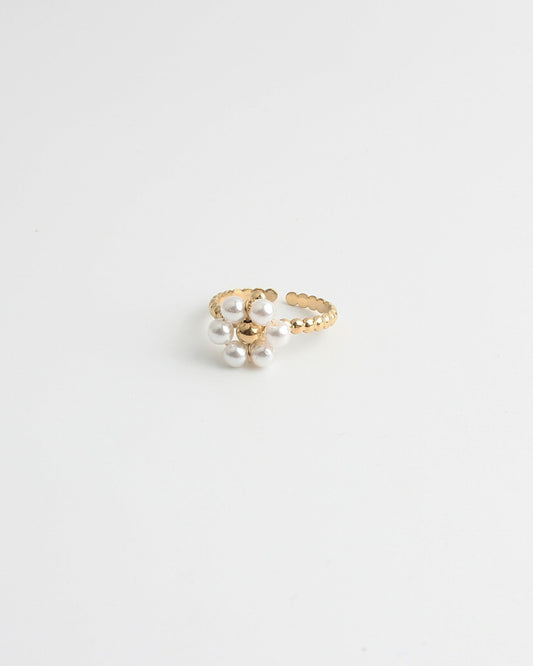 Fleurine- Ring - Stainless Steel - Adjustable